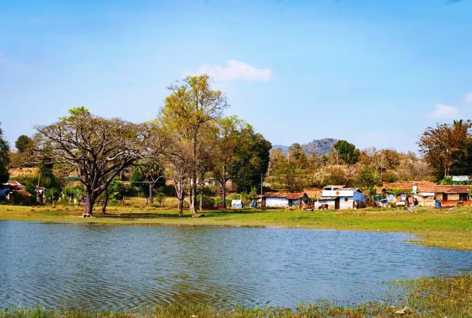 Masinagudi, India All You Must Know Before You Go