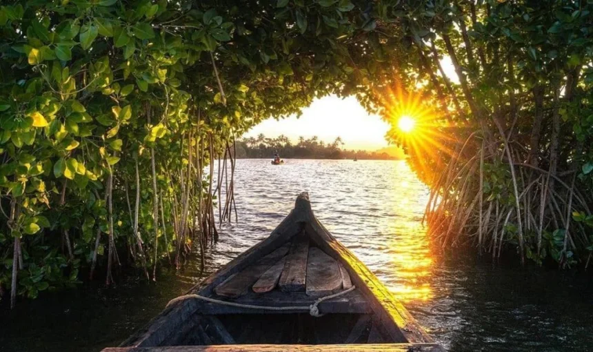 Discover Munroe Island: Kerala’s Hidden Backwater Paradise