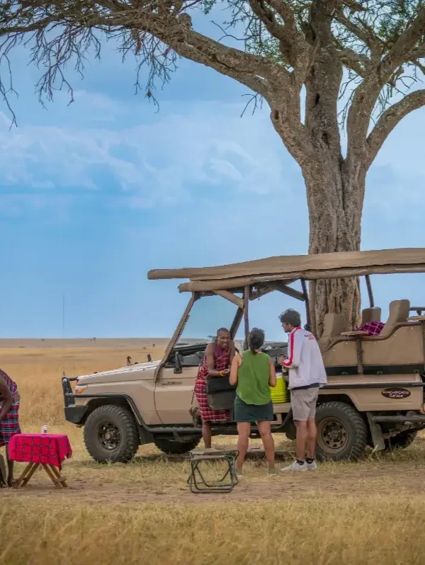 e7bf8edf1fa185acbe05265a7d95d2a644a54d98