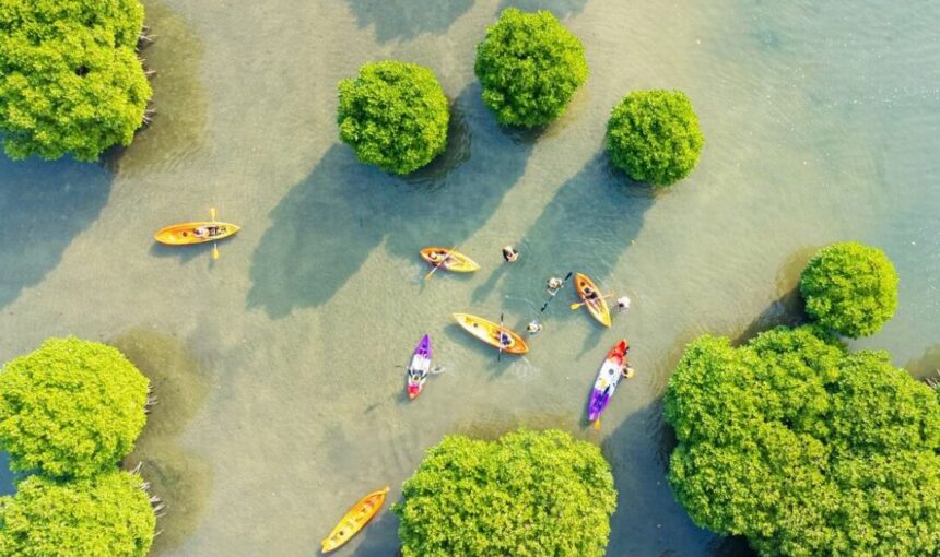 Unveiling Kavvayi: Kerala’s Hidden Backwater Gem in Kannur