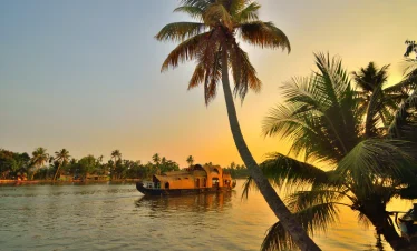 Kingfisher at Kumarakom Bird Sanctuary Kerala birdwatching
