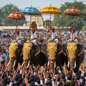 Thrissur Pooram: Kerala's Grandest Elephant Festival
