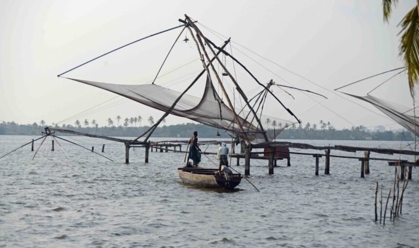 Kumbalangi Bioluminescence