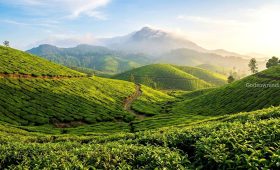 Panoramic view of emerald tea gardens in Munnar, a top tourist place in Idukki.