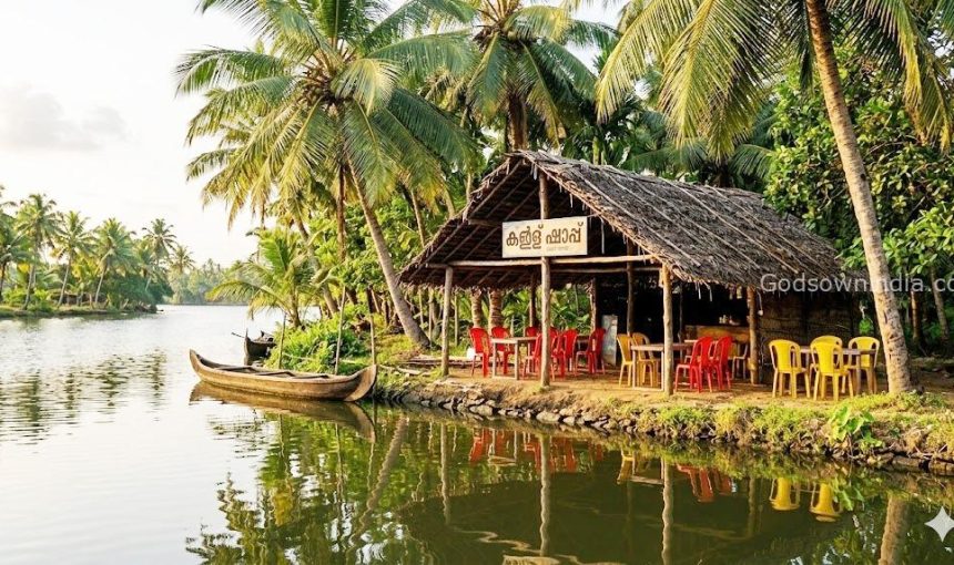 5 Best Toddy Shops in Kerala: A Foodie’s Ultimate Guide