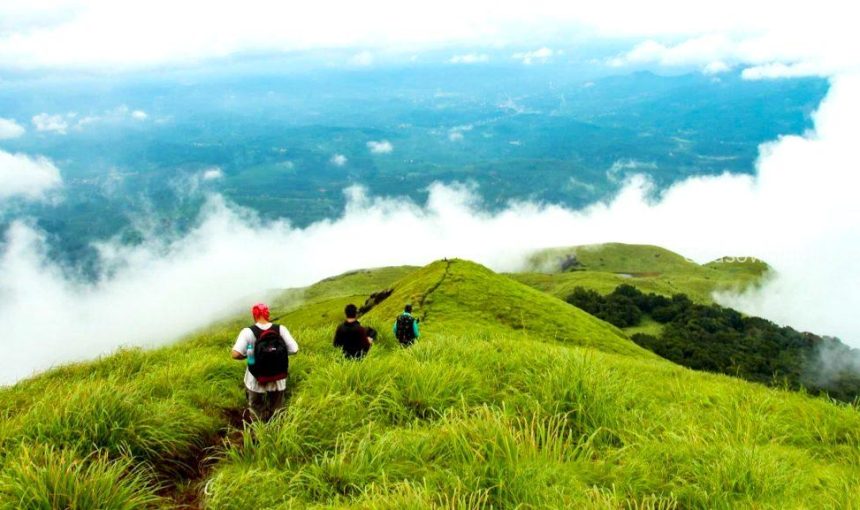 Chembra Peak Trek: Ultimate Guide 2026