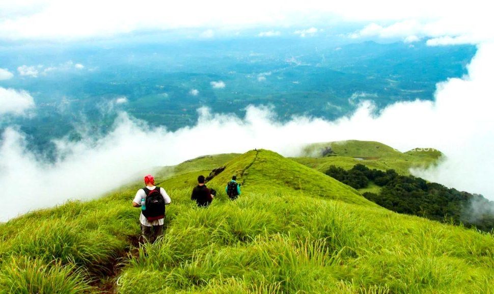 Trekkers on Chembra Peak trail in Wayanad
