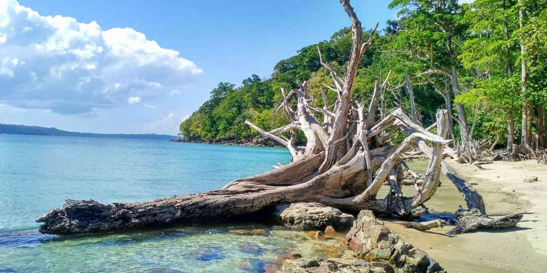Aerial view of Chota Balu Beach Andaman surrounded by green forests