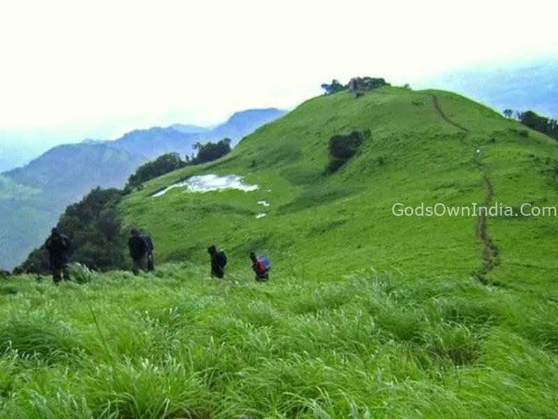 Palakkayam Thattu and Paithalmala Kerala 8