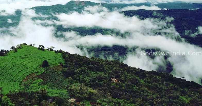 Palakkayam Thattu and Paithalmala Kerala 999