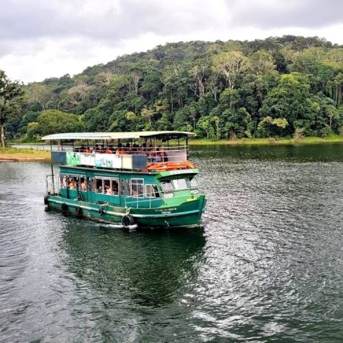 idukki wild life3
