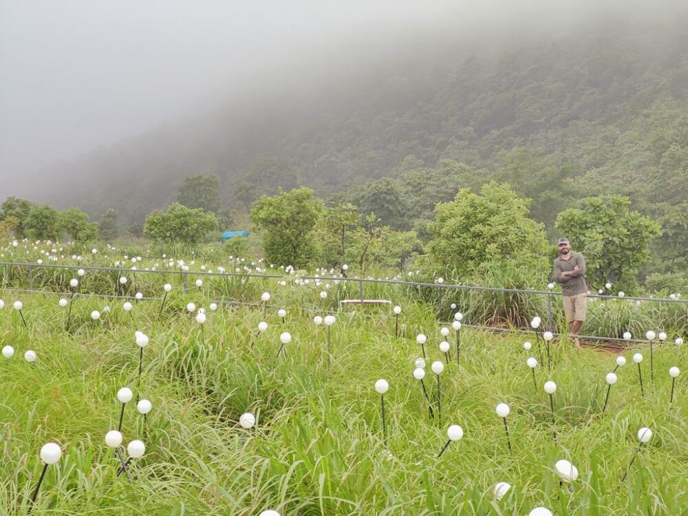 Palakkayam Thattu & Paithalmala: Kerala's Mist Kingdom 6587