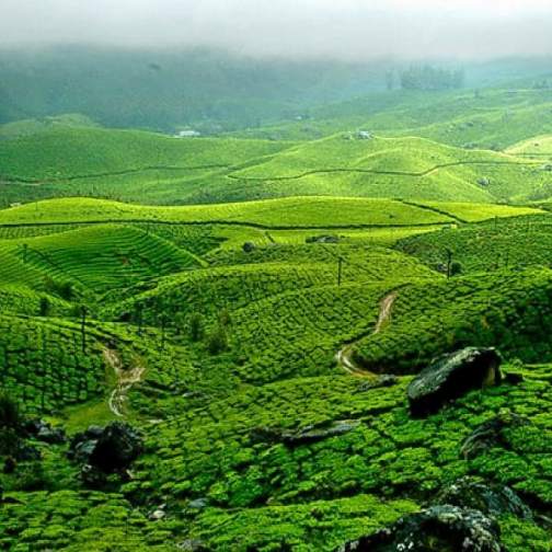 What are the main attractions in Idukki?