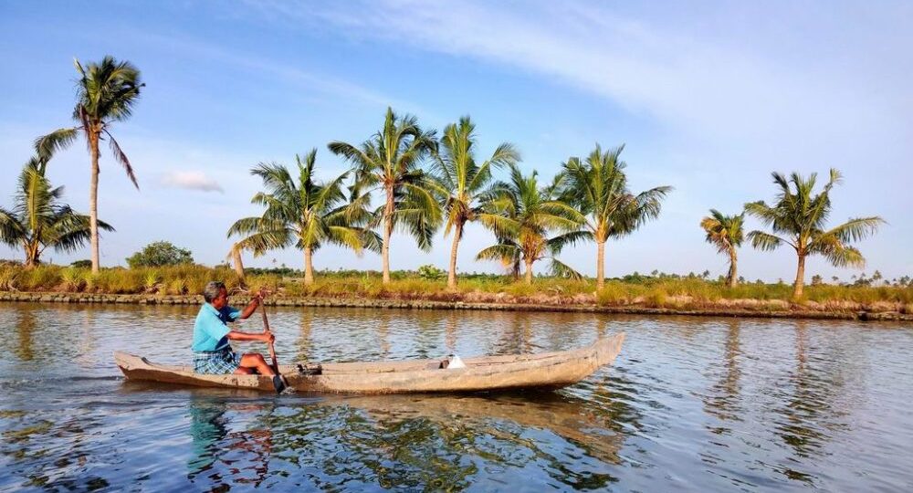 Traditional boat and backwaters scenery in Kadamakkudy 12