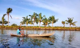 Traditional boat and backwaters scenery in Kadamakkudy 12
