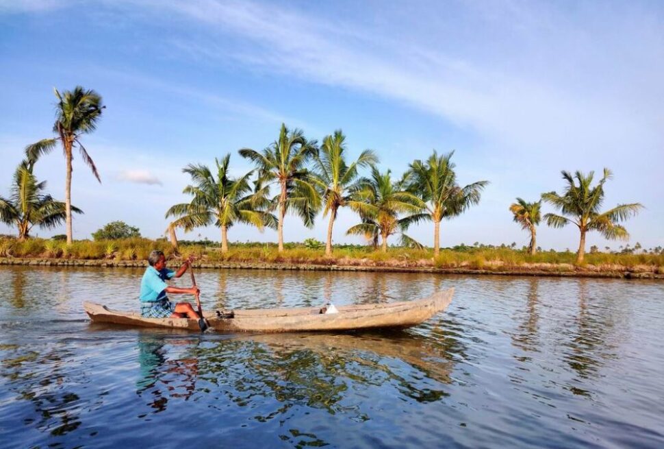 Traditional boat and backwaters scenery in Kadamakkudy 12