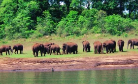 Periyar Wildlife Sanctuary