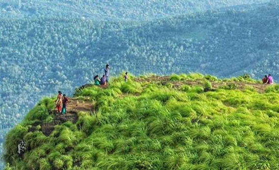 Palakkayam Thattu & Paithalmala: Kerala's Mist Kingdom 651