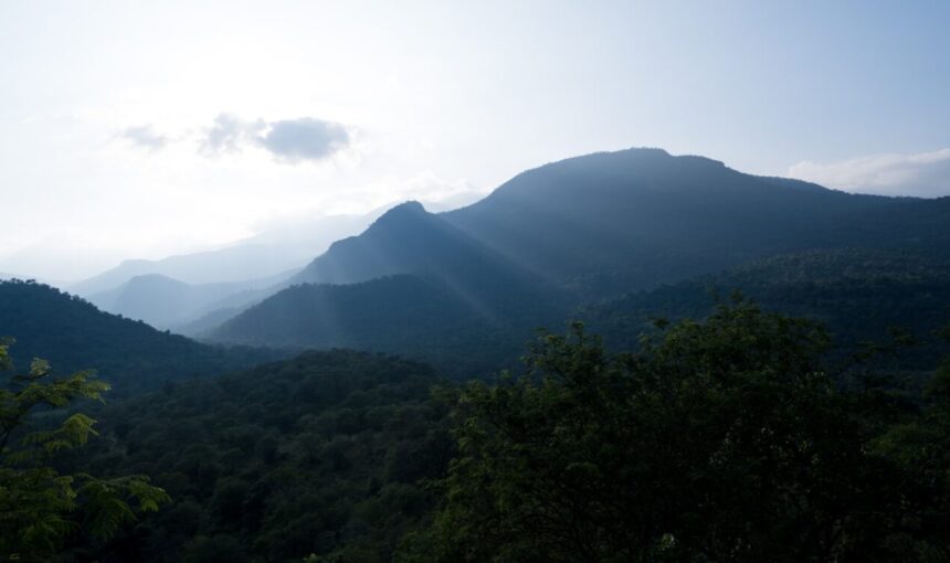 Ultimate Chinnar Wildlife Sanctuary Activities Guide