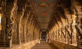South India temple tour