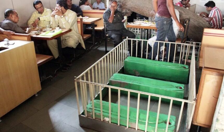 Dining with the Dead: Krishnan Kutty’s New Lucky Restaurant in Ahmedabad