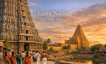 The Brihadisvara Temple (Big Temple). Look for the massive granite tower (Vimana) which is a masterpiece of Chola architecture.