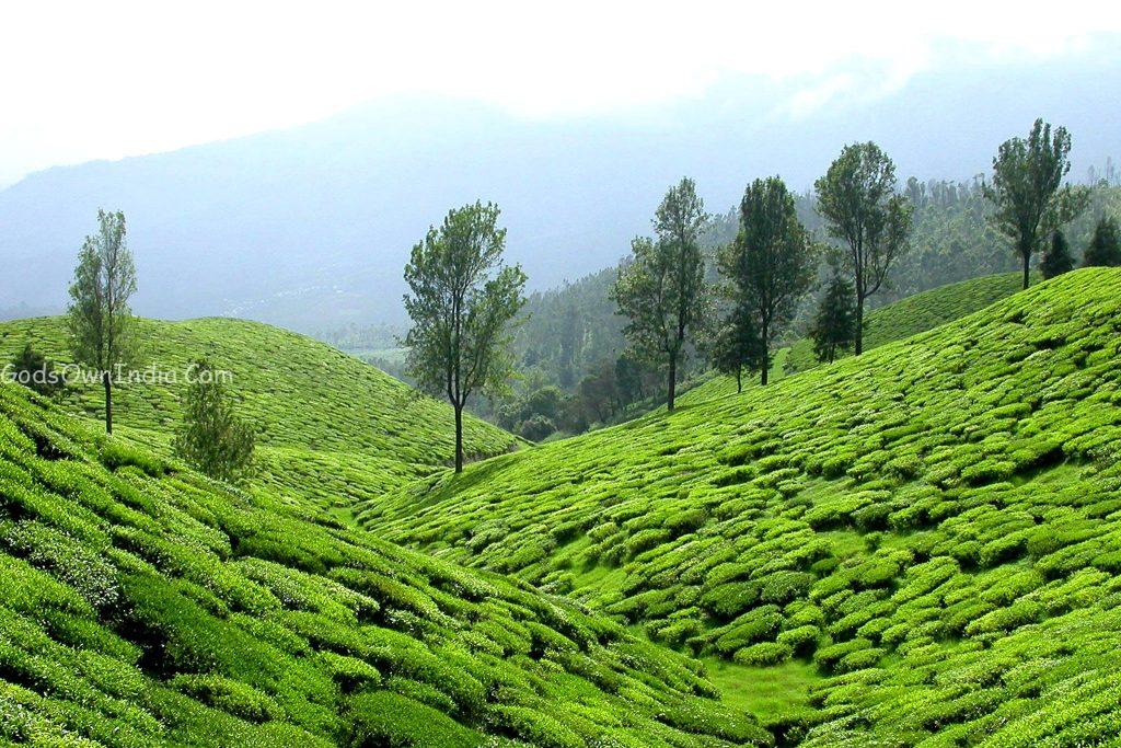 Kerala Tourism: Ultimate Guide to Paradise
